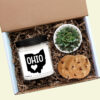 Ohio Personalized Soy Candle and Succulent Gift Ohio Personalized Soy Candle and Succulent Gift