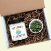 Hey Shawty It's Your Birthday Personalized Soy Candle and Succulent Gift