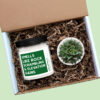 Smells Like Rock Scrambling and Elevation Gains Personalized Soy Candle And Succulent Gift Smells Like Rock Scrambling and Elevation Gains Personalized Soy Candle And Succulent Gift