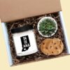 Indiana Candle, Succulent Gift Box with Cookies, Personalized 9oz Handmade Soy Candle, State Pride Gift, Housewarming, Thinking of You